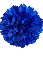 clavel1pazulelectrico