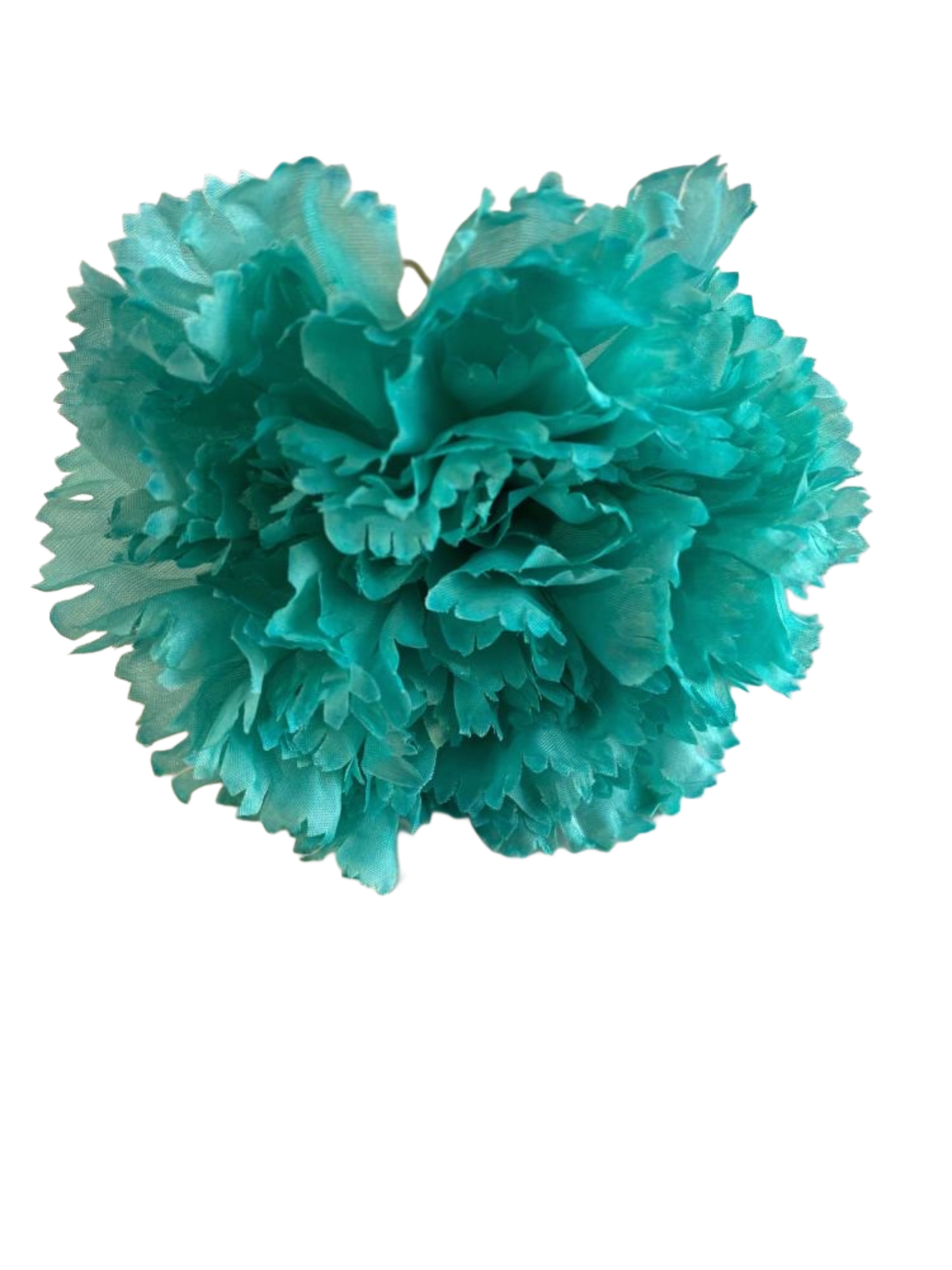 clavel1pverdeaguaconcolor