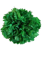 clavel1pverdeandalucia