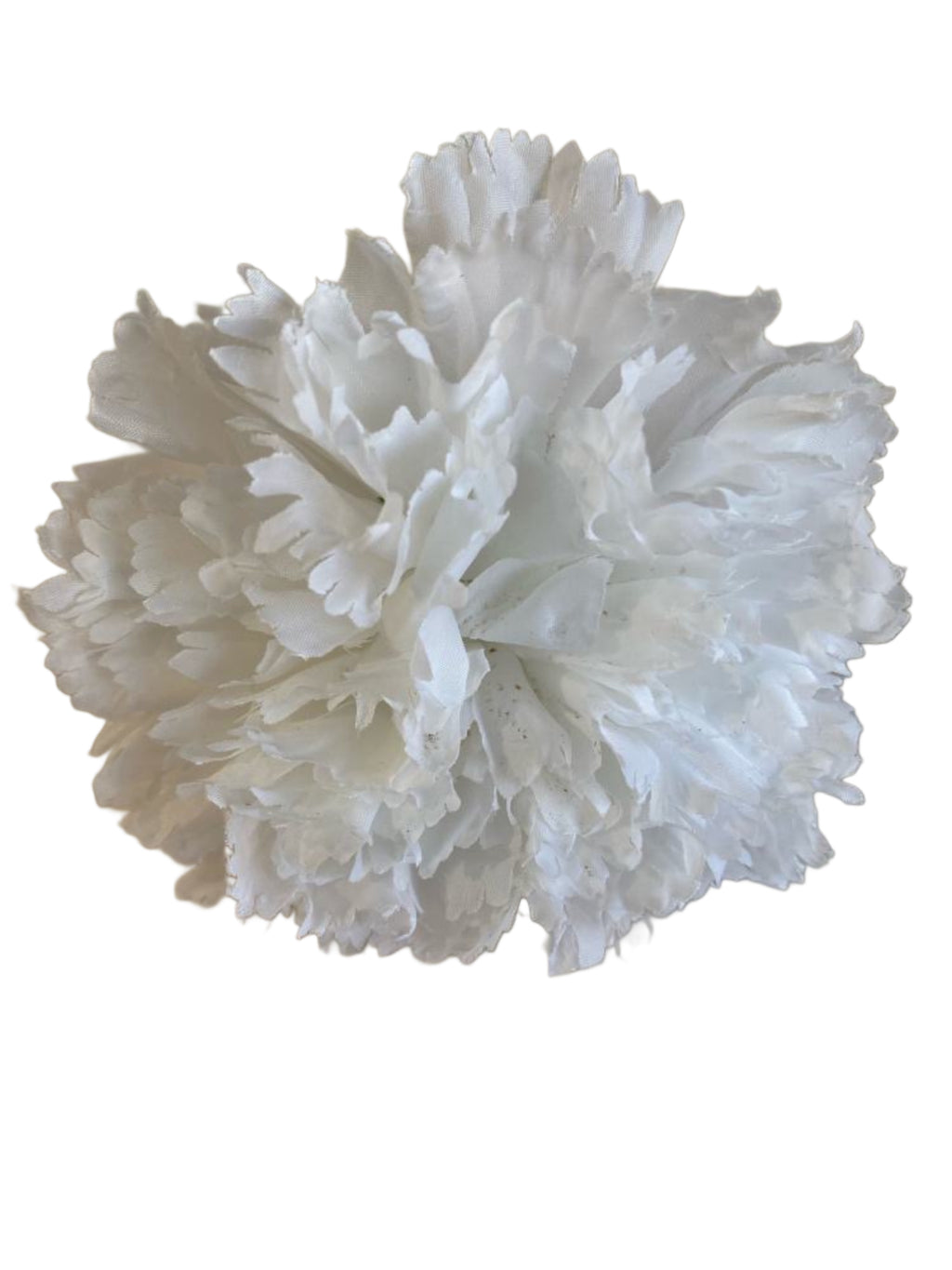 clavel1pblanco