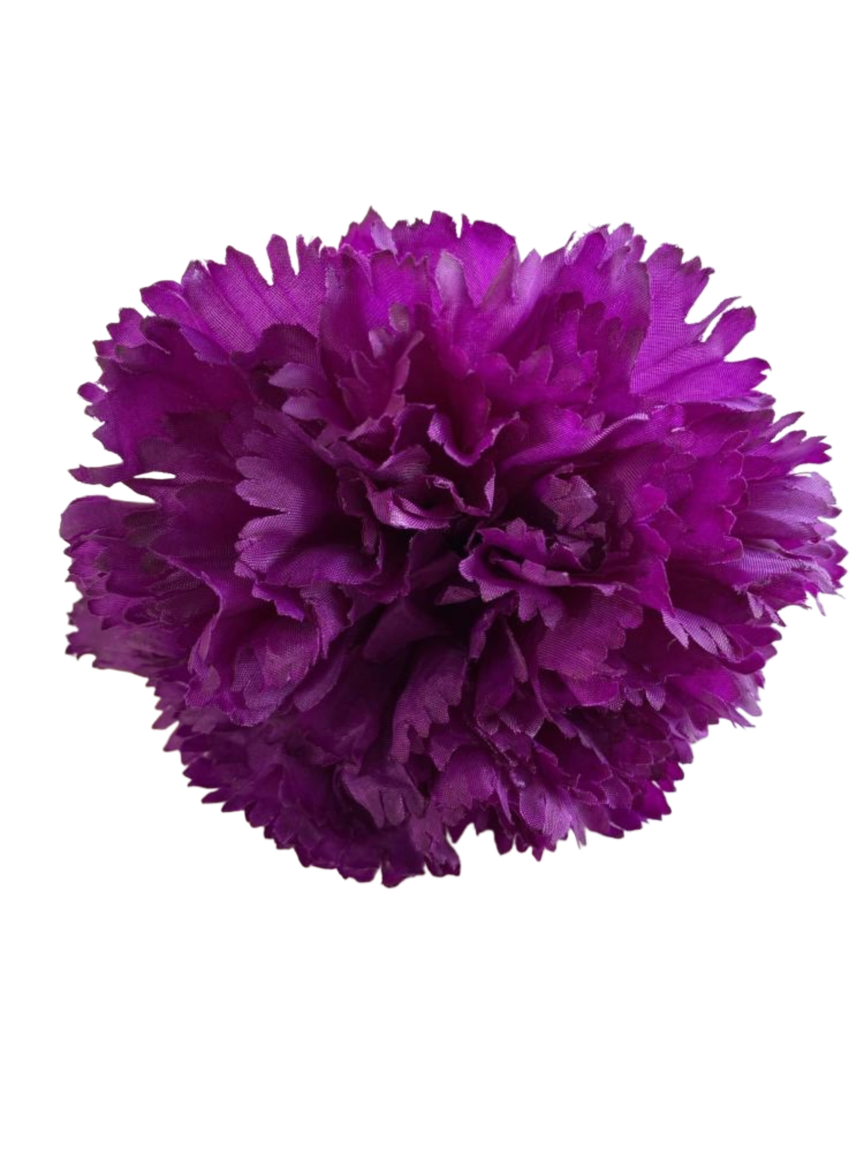 clavel1pmorado