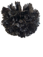 clavel1pnegro