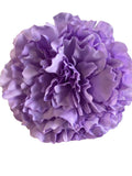 LILAC PEONY FLOWER