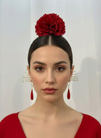 clavel1projo