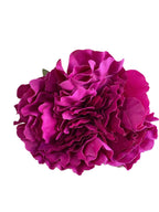 peoniafucsia