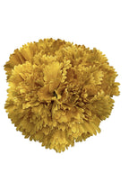 fl-175-5clavel