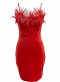 22256rojo