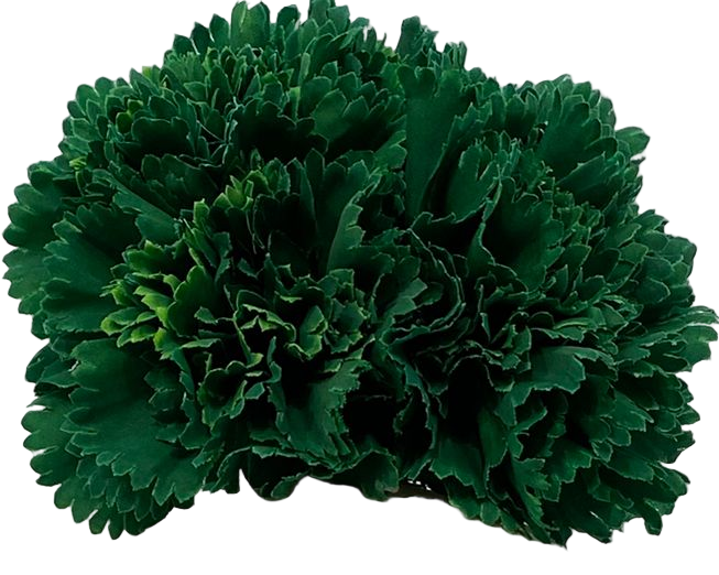 5clavelverdeandalucia