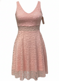 2623rosa